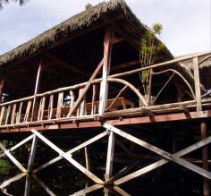Sacha Lodge