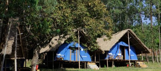 Platform structures at Eco-Omo Safari Lodge