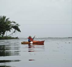 kayak Tortuguero