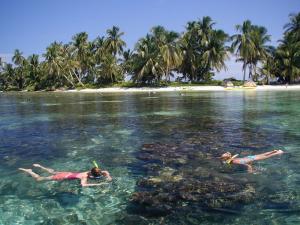 Snorkeling and kayaking adventure in Belize