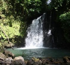 Secluded waterfall at AOL. So peaceful, worth the climb down