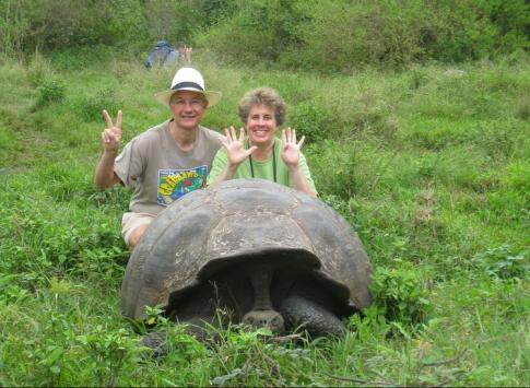 Celebrating our 29th anniversary with a tortoise
