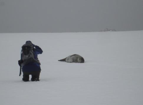 Renee gets upclose with a Weddell Seal