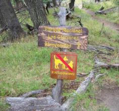 I had planned on bringing a cat, but this sign overrulled me
