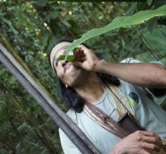 Eme shows us how to call a toucan