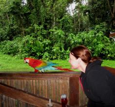 Lee with one of the chicos at TRC. Really great TRC lets you get so up close and personal with these macaws.