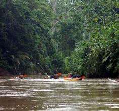 Kayaking the Amazon