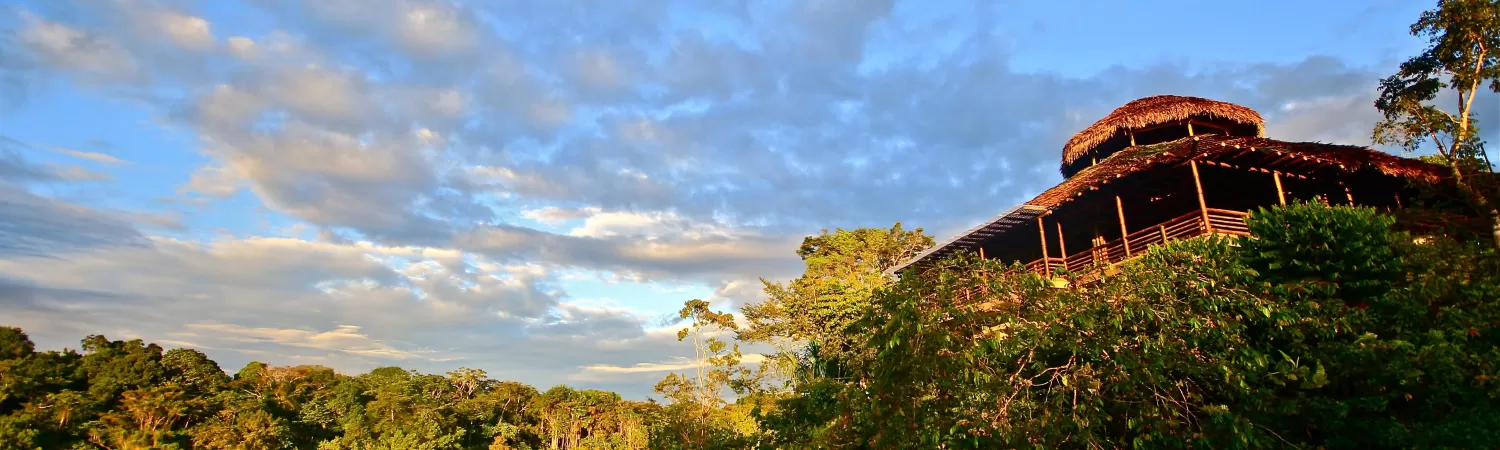 Visit the recently remodeled La Selva Jungle Lodge in the Ecuador Amazon