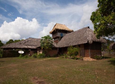 Caiman House
