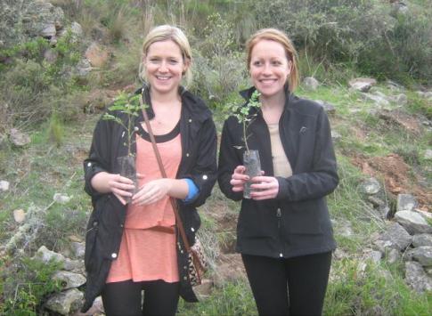 Reforestation project in Peru
