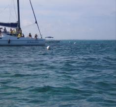 Anchoring at Hol Chan for snorkeling excursion