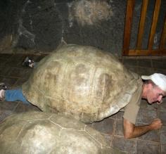 Easier to get in than out!