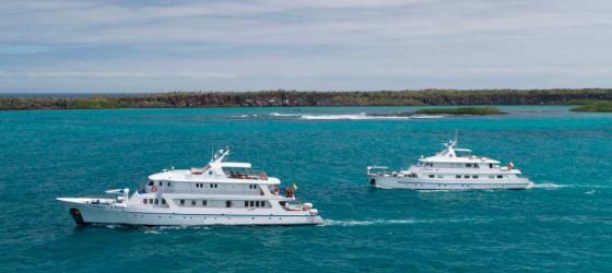Sail the Galapagos archipelago on the Corals