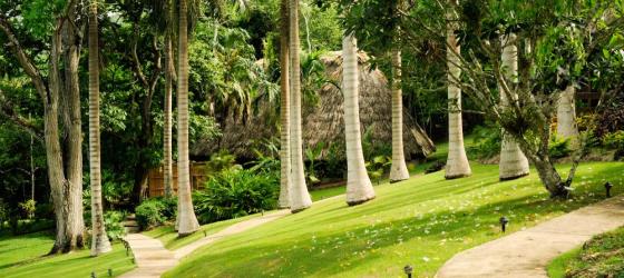 Thatch-roof cottages on the ground of the Lodge at Chaa Creek