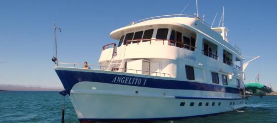The Angelito