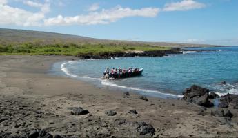 A boating tour getting ready to leave the shore.