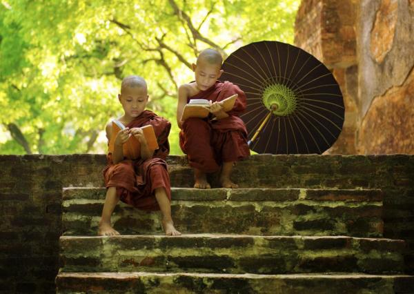 Two young monks read on the steps of an old temple