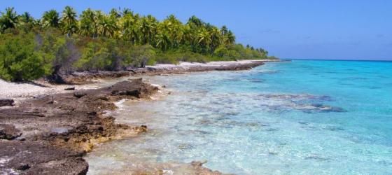 South Pacific shoreline