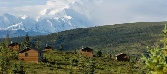 Photo Courtesy of Camp Denali