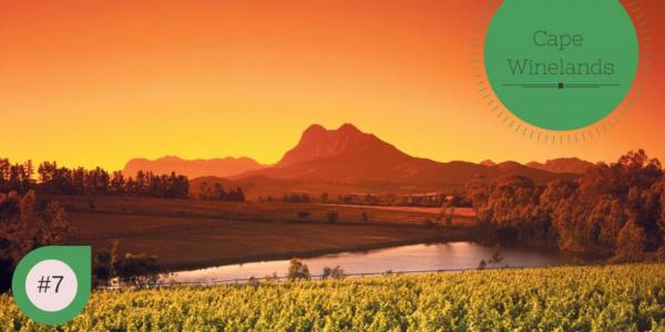 Cape Winelands of South Africa