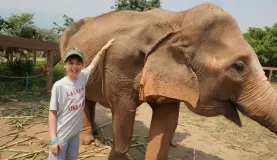 Petting the elephants