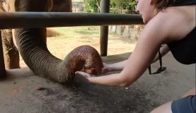 Shanna feeding her new friend