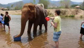 Bath time at the Elephant Nature Park
