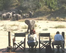 Rhino Post Safari Lodge