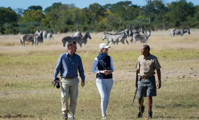 Walking safaris on the Linkwasha Concession