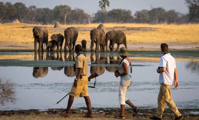 Walking Safaris with a trained guide