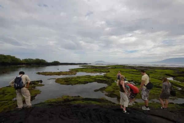 Cruise the Galapagos on the Cachalote ship