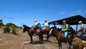 Horseback riding around Isabela Island in the Galapagos