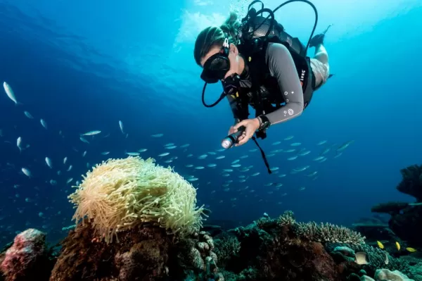 Explore the biodiversity of Seychelles