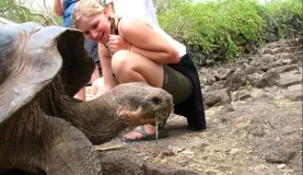 Befriending the tortoise