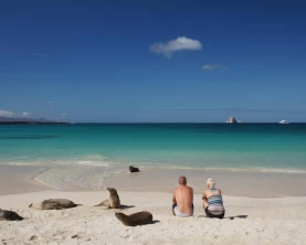 Couple sitting on a beach among sea lions