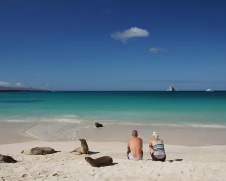 Couple sitting on a beach among sea lions