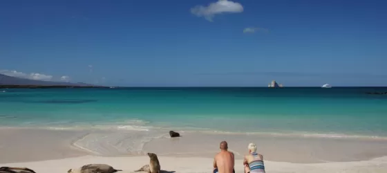Couple sitting on a beach among sea lions