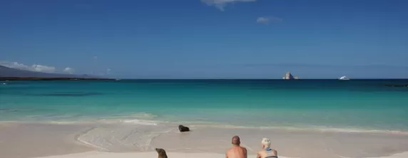 Couple sitting on a beach among sea lions