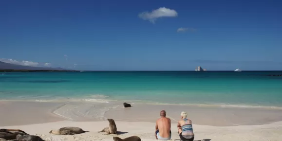 Couple sitting on a beach among sea lions