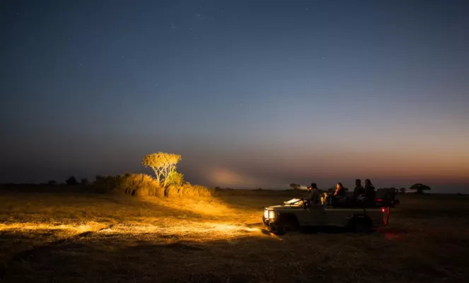 Nighttime game drives