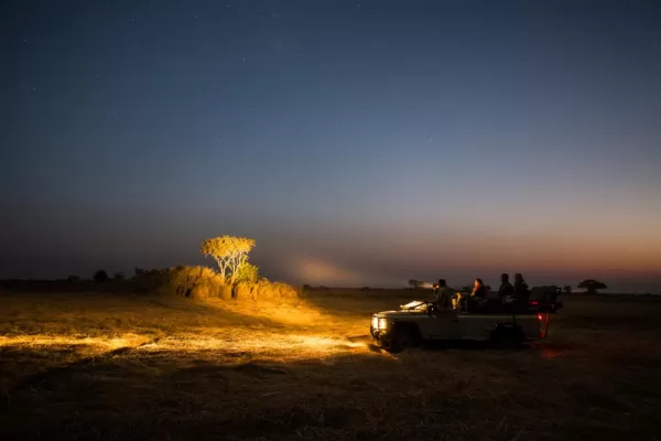 Nighttime game drives