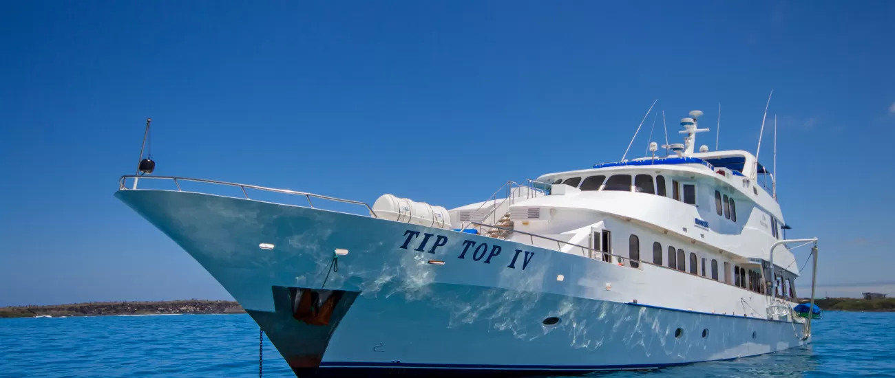 Cruise the Galapagos on the Tip Top IV Ship