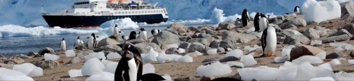 Penguins and cruise ship in Antarctica