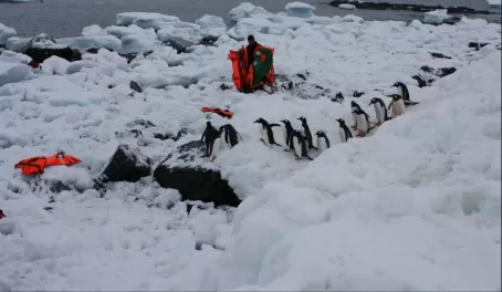 Exploring the ice and snow of Antarctica