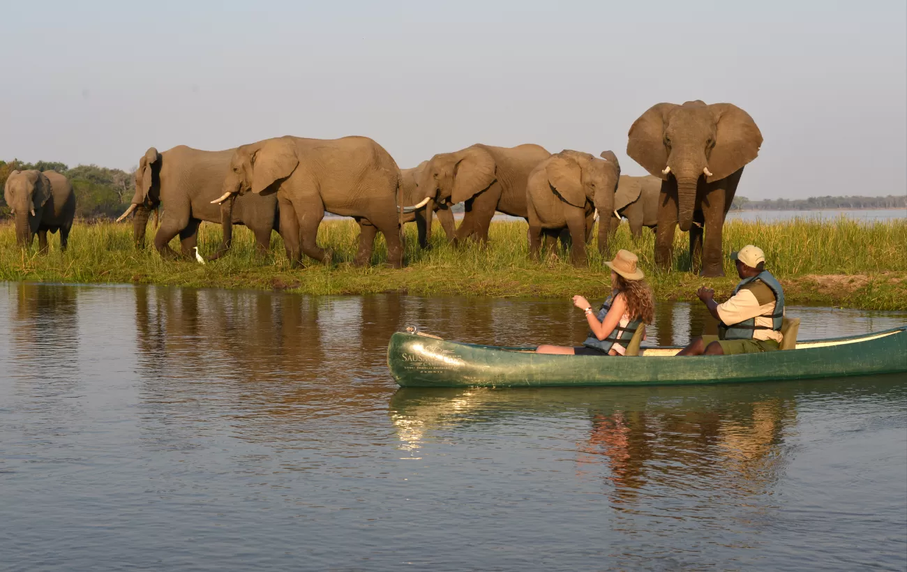 lower zambezi national park - zambia safari tour