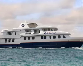 The Natural Paradise cruises the enchanted Galapagos Islands