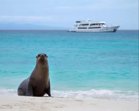 Cruise the Galapagos on the Odyssey ship