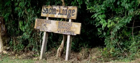 Welcome to Sacha Lodge!