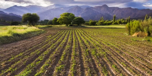 Cachi Valley farmland at Sunset