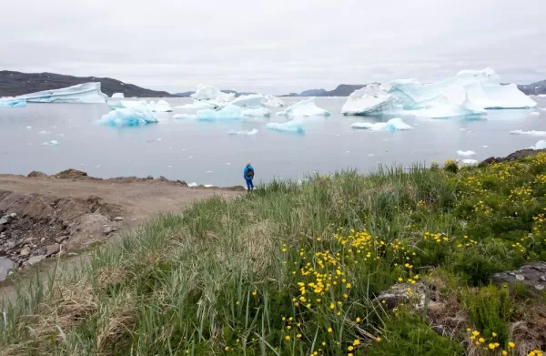 Qeqertarsuaq Greenland